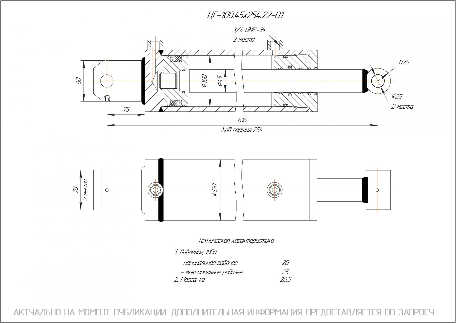 ЦГ-100.45х254.22-01 Гидроцилиндр