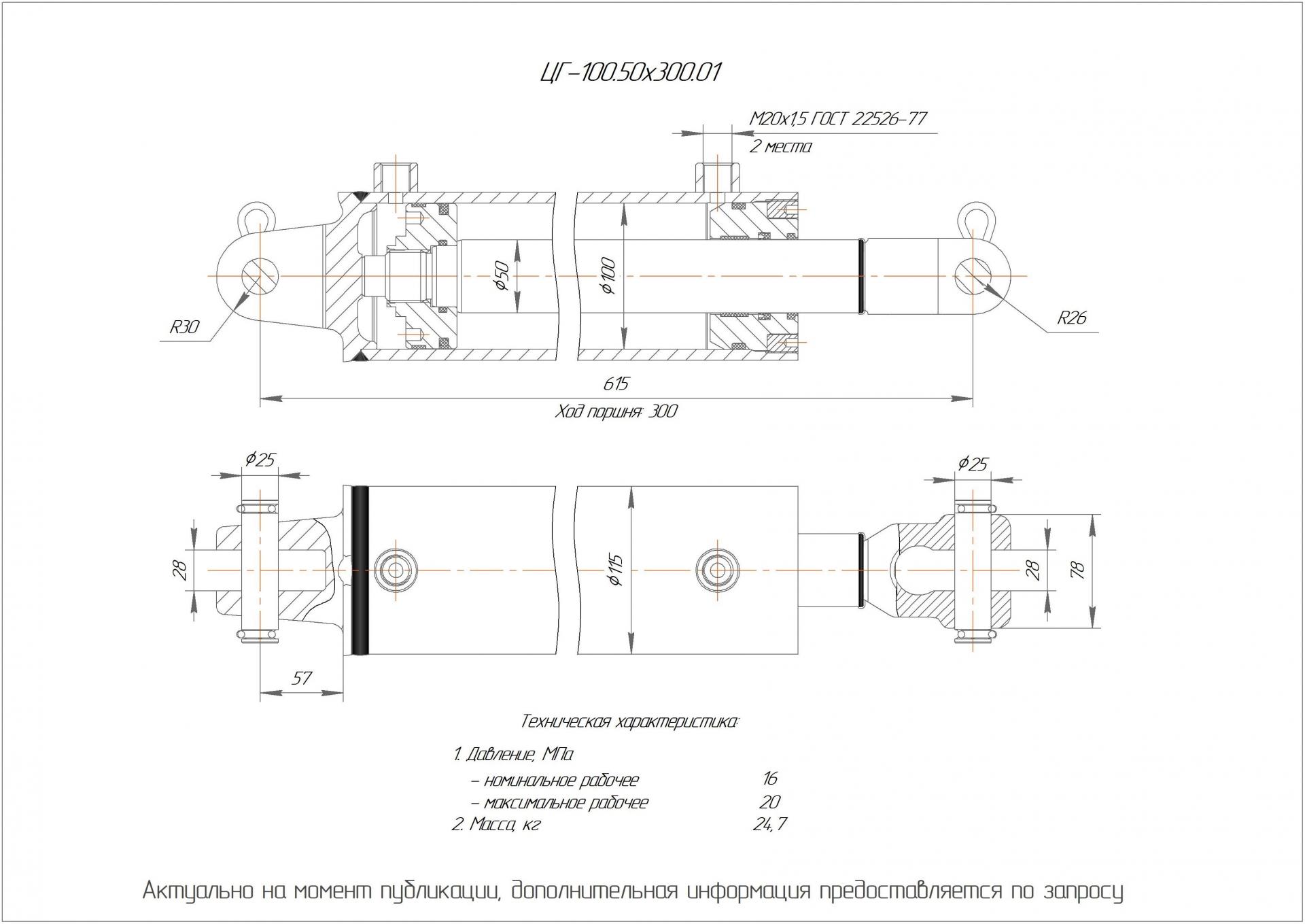 ЦГ-100.50х300.01 Гидроцилиндр