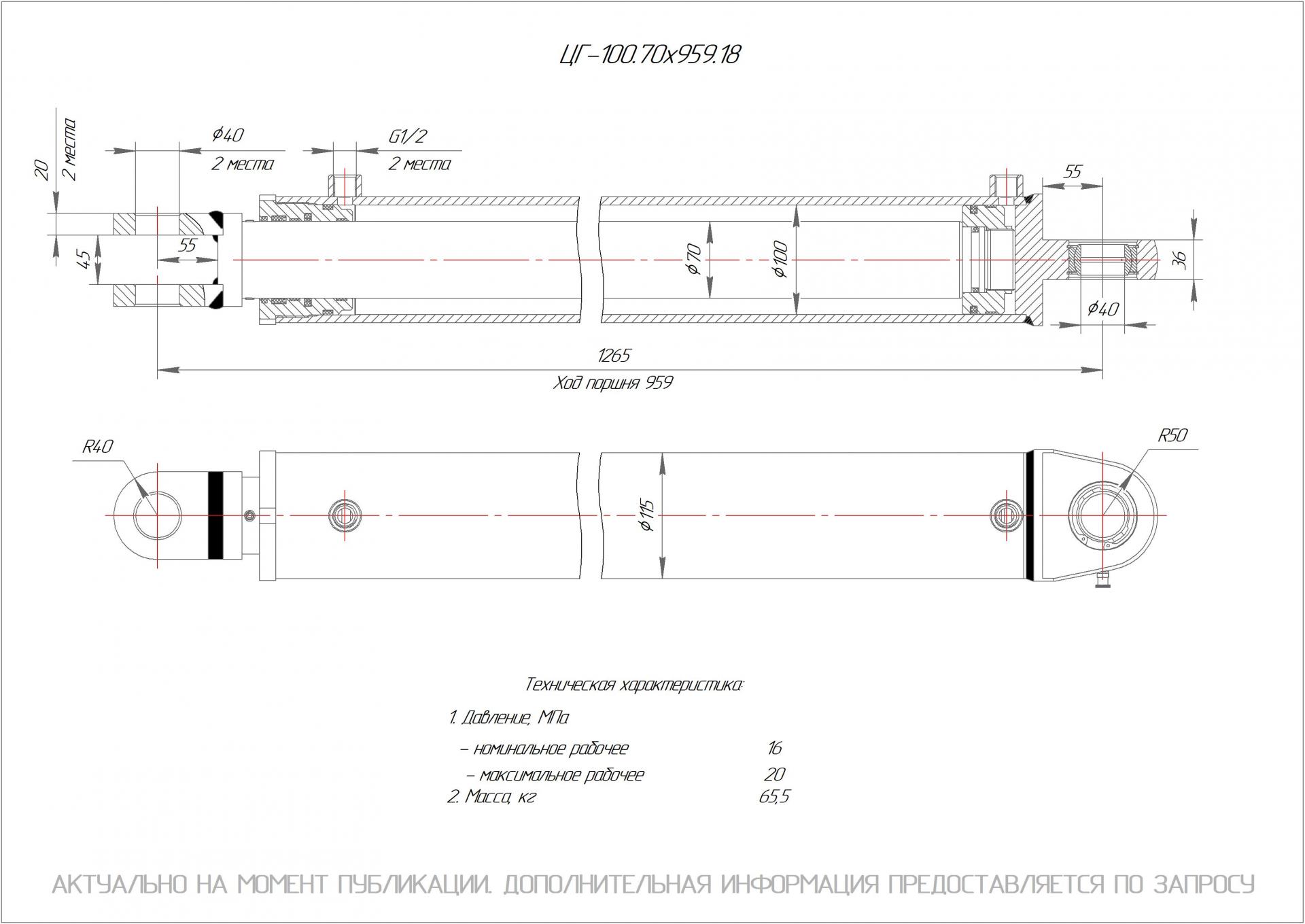 ЦГ-100.70х959.18 Гидроцилиндр