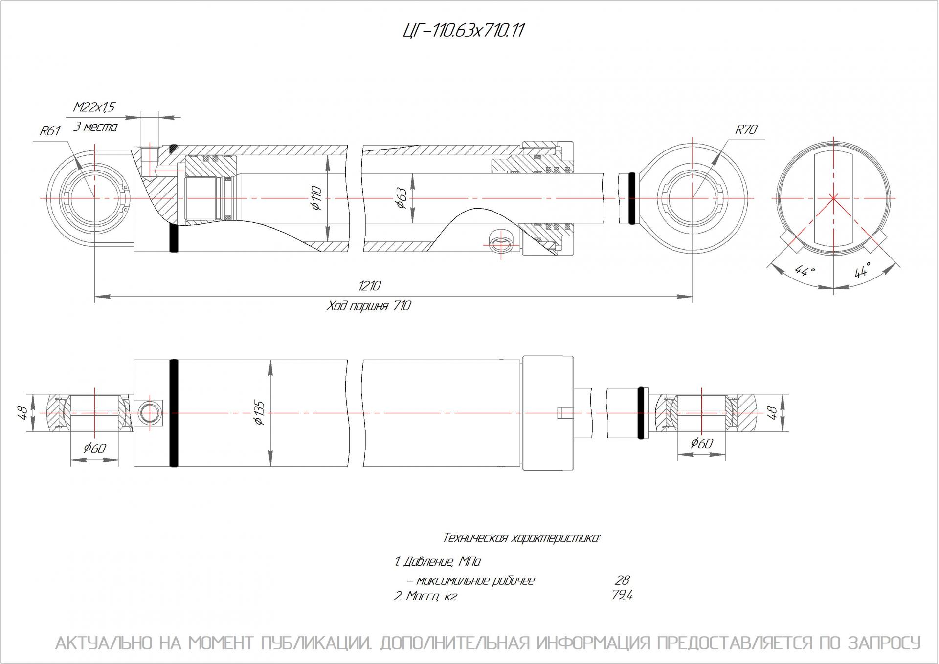 ЦГ-110.63х710.11 Гидроцилиндр