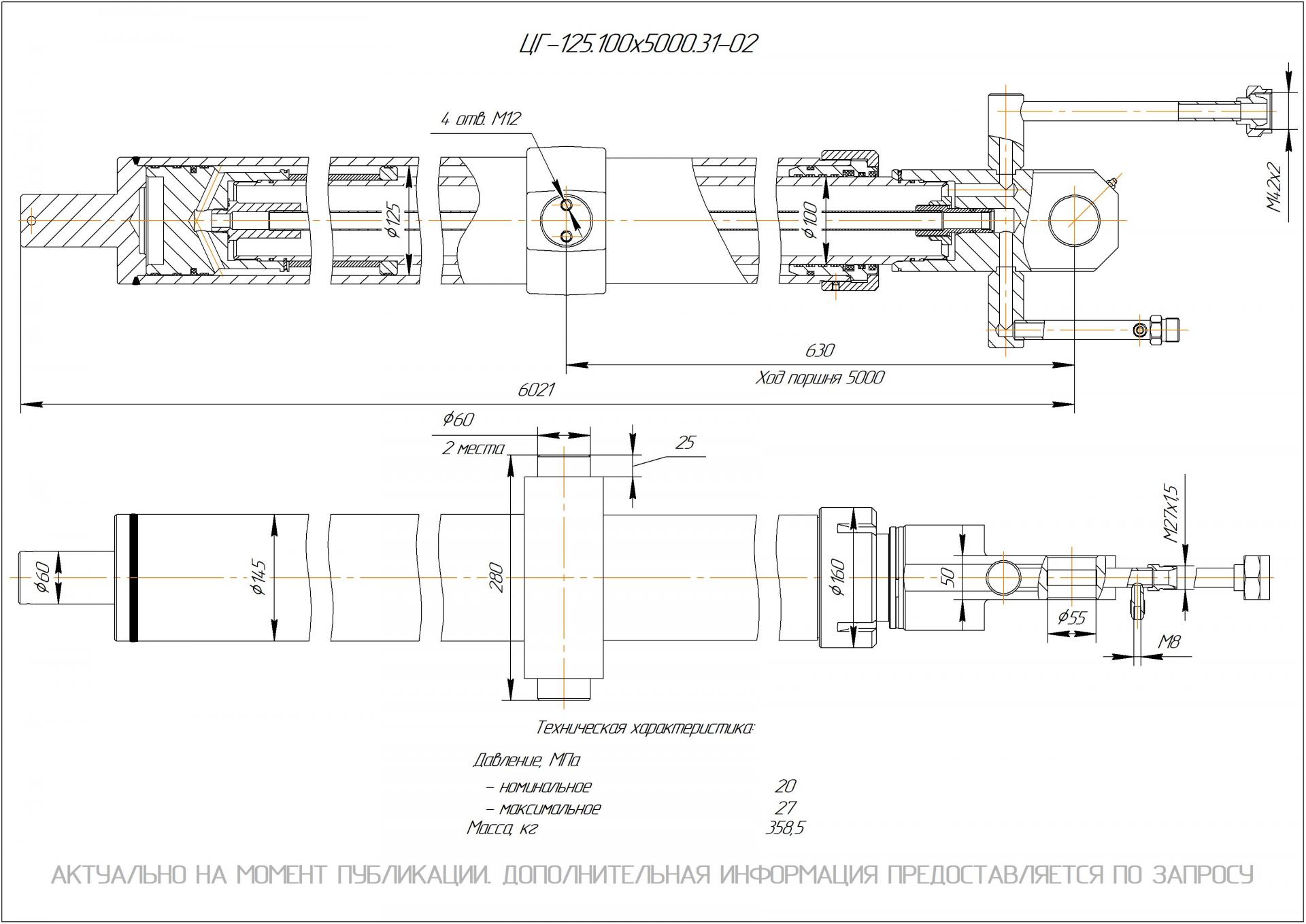 ЦГ-125.100х5000.31-02 Гидроцилиндр