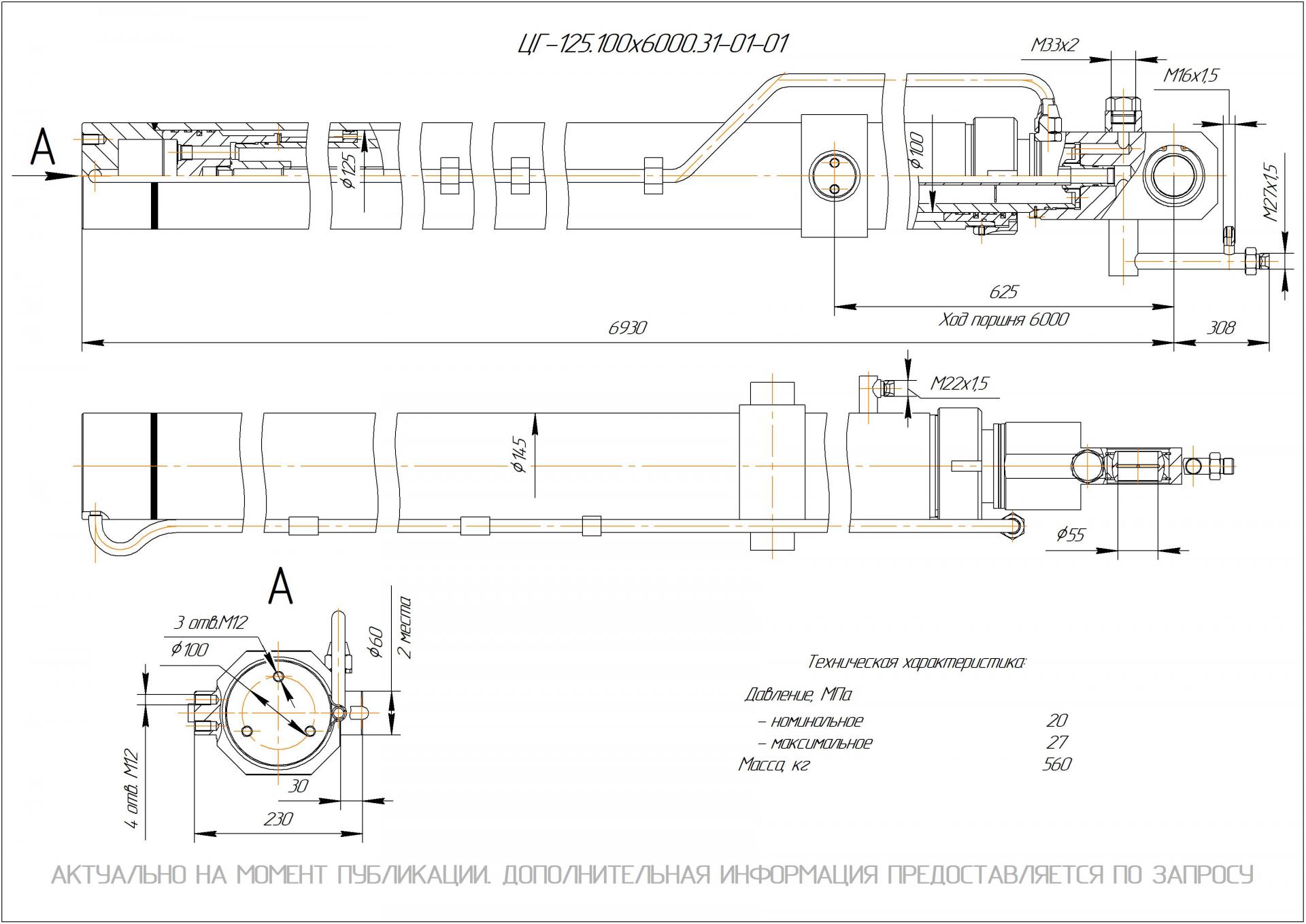 ЦГ-125.100х6000.31-01-01 Гидроцилиндр