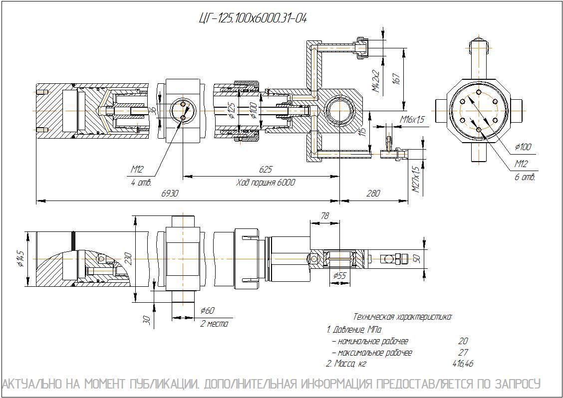 ЦГ-125.100х6000.31-04 Гидроцилиндр