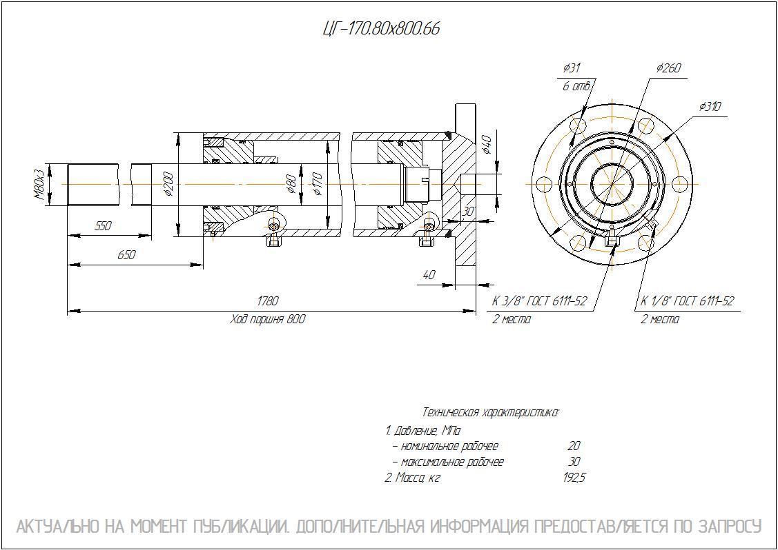 ЦГ-170.80х800.66 Гидроцилиндр