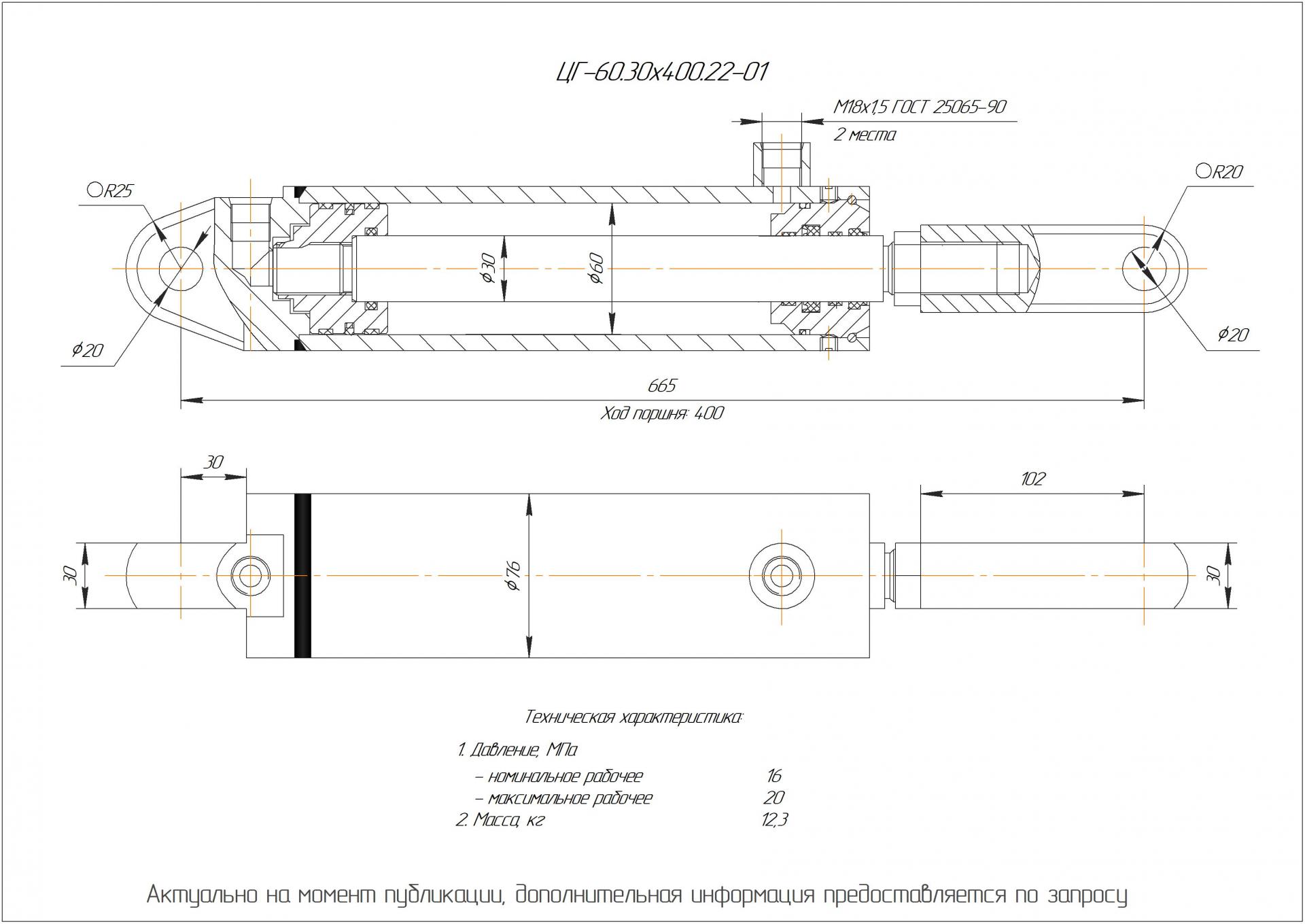 ЦГ-60.30х400.22-01 Гидроцилиндр