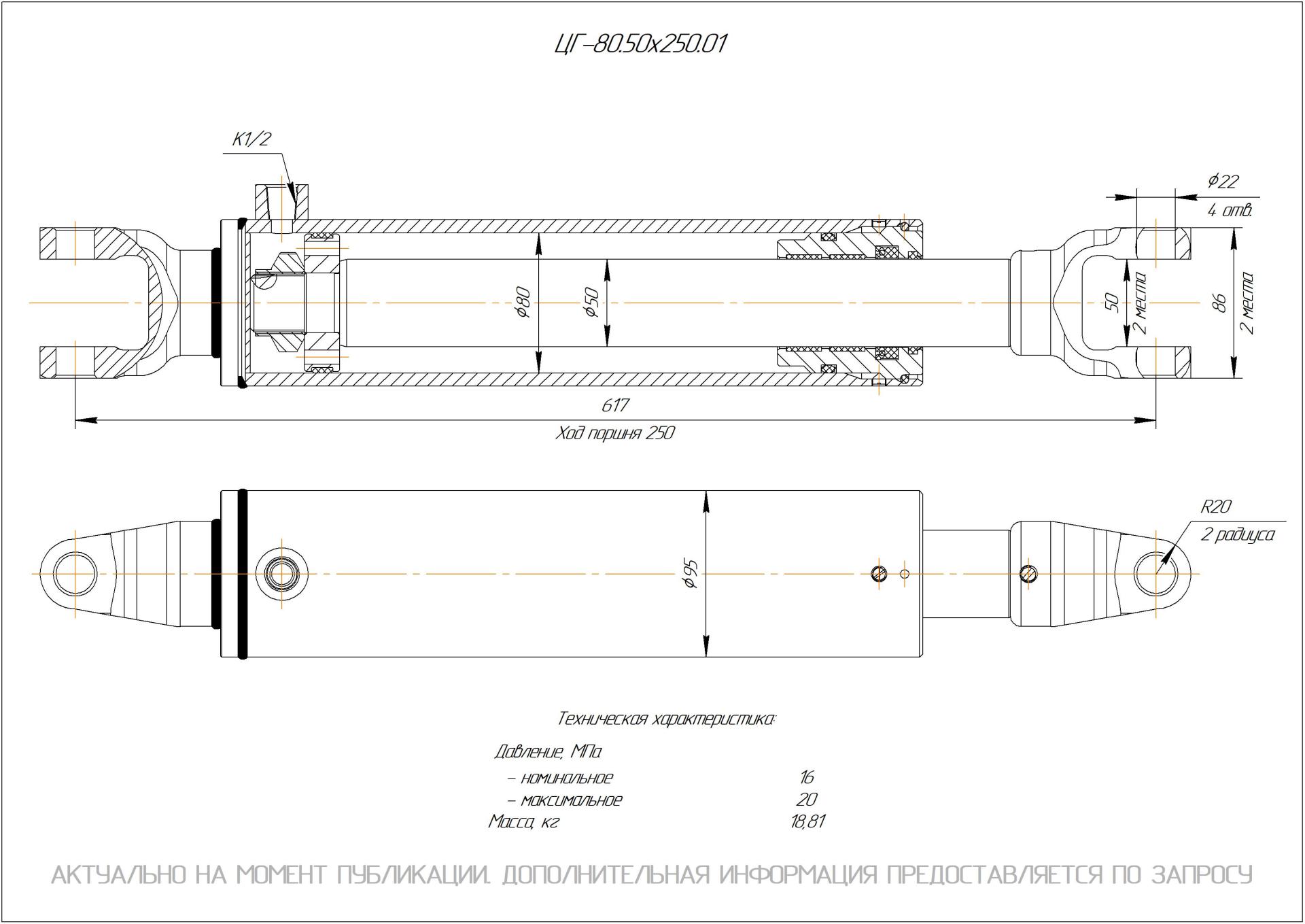 ЦГ-80.50х250.01 Гидроцилиндр